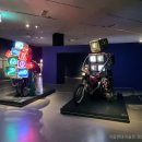 온달비디오 이미지