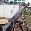 스타크레인 이미지