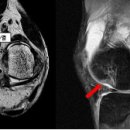 성모메디트레이닝센터 이미지