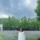 퍼펙트농장 | 비에이 후라노 버스투어 후기! (홋카이도랩) 투어끝나고 먹을 징기스칸 맛집도 추천!(삿포로퍼펙트클래식)