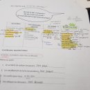 D00746 | 프랑스문화원 어학센터 : A2 집중코스 후기