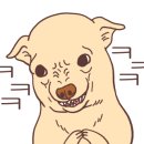 영일만횟집 이미지