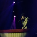 킹콩나이트 이미지