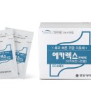 에카 이미지