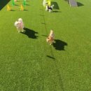 486독캠프 이미지