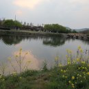 매잠공원 티스토리