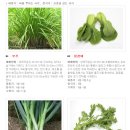 정근농장 이미지