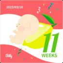 임신11-12주 밀린 일상 이야기 (탑산후조리원계약/분만병원전원)