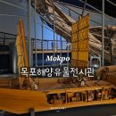 목포 실내 가볼 만한 곳 바다유물관 해양유물전시관 아시아 최대 수중고고학 박물관