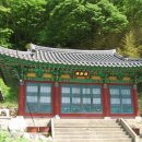 가산사 Daum카페