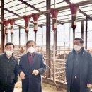 정상태농장 이미지