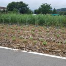 for you부동산공인중개사사무소 이미지