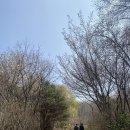 정발산공원 산책로 입구 이미지