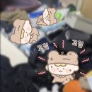 잘난치킨 | 11. 바람이 부풀어 난 기대감에 몇 잔째인지