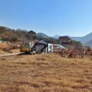 금천면사무소 이미지