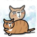 약전손칼국수 이미지