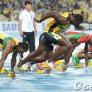 패닉볼트 이미지