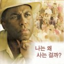 교뎅 이미지