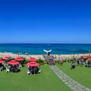 바다정원 이미지