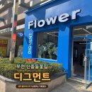 디그먼트