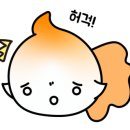 정우헤어 - 성남시 분당구 | 정우헤어