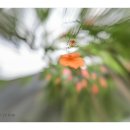 바람불어 좋은날 이미지