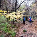 진고개공원 이미지