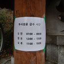 부사샘물