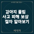 강아지 물림사고, 민사 손해배상 청구는 어떻게 진행하나요?