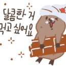 마리벨(Maribel)