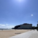 WOW휘트니스클럽 | 부산 호캉스 웨스틴조선 부산 내돈내산100%후기