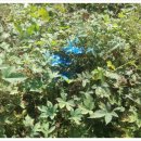 은덕농장 이미지