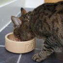 참누리동물병원 이미지