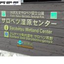 대지화원꽃 이미지