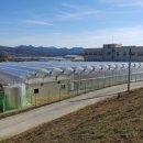 경상남도 사과이용연구소 이미지