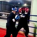 팀훅 복싱&주짓수 이미지