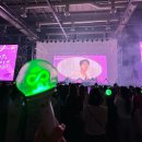 플레로마 | [일산 킨텍스] 2025 썸데이 플레로마 페스티벌 후기