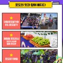 송산포도로150번길 | 송산 포도 축제 입장료와 체험 예약 방법