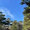 호텔스카이파크제주 이미지