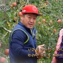 김영자농장 이미지