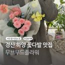 무브무드플라워 이미지
