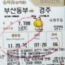 천년숲서로(동) | 경주 나들이 1/ 불국사~ 남산동~ 천년숲 정원- 2025년 11월 20일