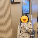 석화꽃무지풀무지유치원 이미지