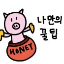 해피샌드데이