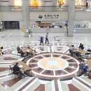 논개골 낭만 벚꽃축제 | 서울 여의도 윤중로 벚꽃 축제 실시간 후기