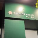 나뚜루시그니처부산