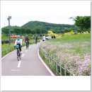 수레 Daum카페