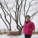 신선농원 이미지