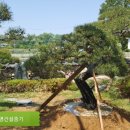대명조경건설