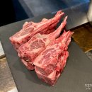 수원-1141 | 라무진 호매실점 구워주는 양갈비 맛집 징기스칸 양갈비 내돈내산 후기 수원 호매실 맛집